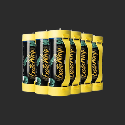 Exotic Whip Premium disposable N2O canister 2000g